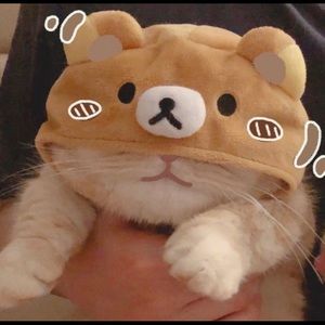 Meet your Posher, Kouhestan